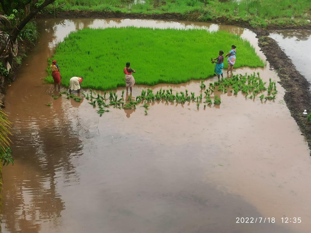 Priyansh Home Stay Harihareshwar Extérieur photo